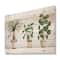 Designart - Trio of House Plants Ponytail Palm and Ficus - Traditional Print on Natural Pine Wood